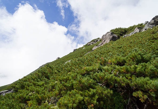 201209131158-DSC01962N.jpg