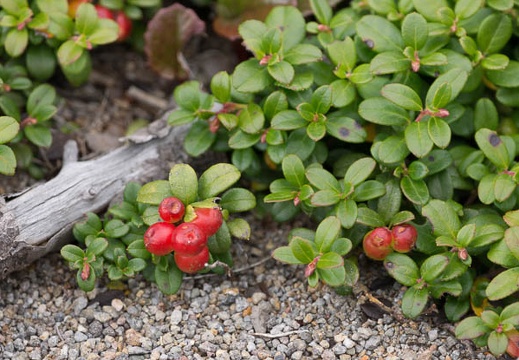201209131208-DSC01193.jpg