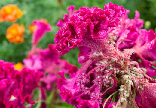 201209230829-DSC02538N.jpg