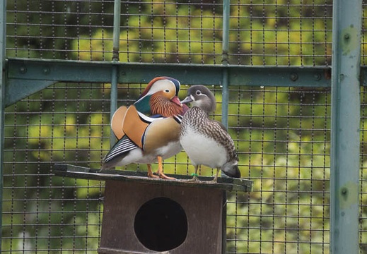201209231209-DSC01890.jpg