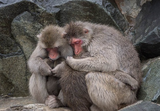 201209231220-DSC01941.jpg