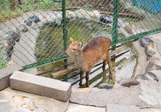 201209231232-DSC02601N.jpg