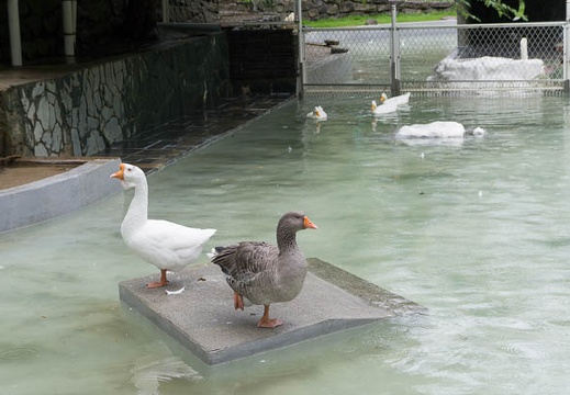 201209231236-DSC02603N.jpg