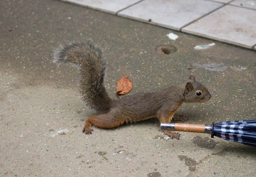 201209231240-DSC01998.jpg