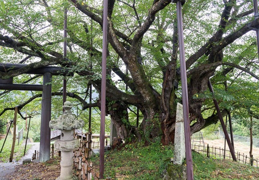 201209231339-DSC02638N.jpg