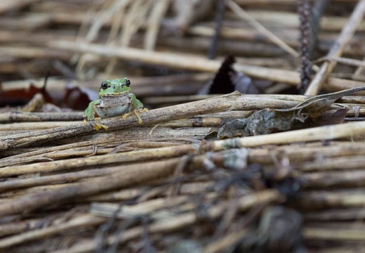 201209231345-DSC02071.jpg