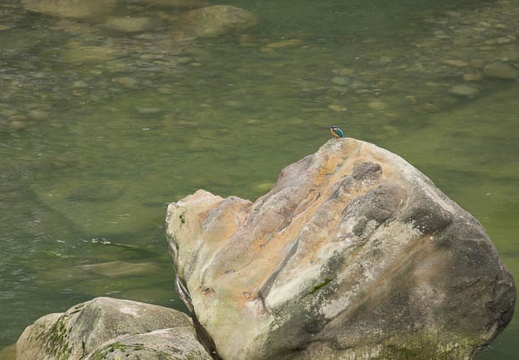 201209231509-DSC02102.jpg