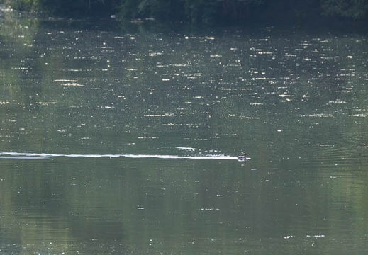 201209231543-DSC02166.jpg