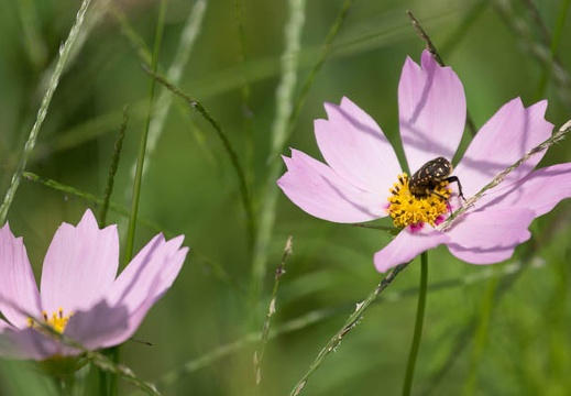 201209241247-DSC02669.jpg