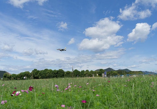 201209241248-DSC02701N.jpg