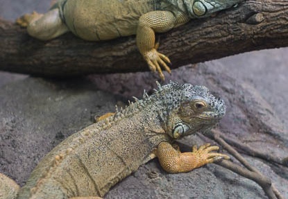 201209281020-DSC02908.jpg