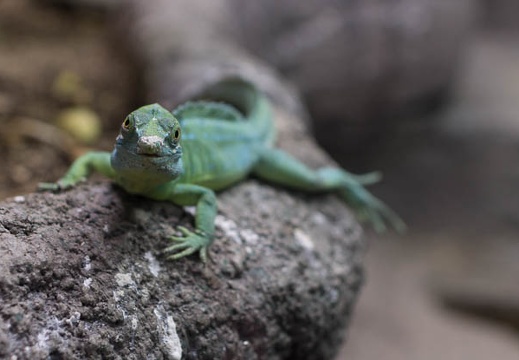 201209281023-DSC02917.jpg