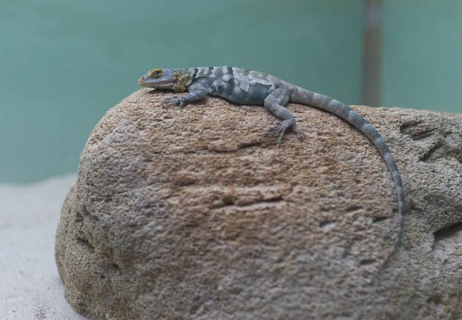 201209281024-DSC02923.jpg