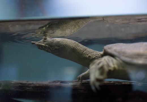201209281026-DSC02927.jpg