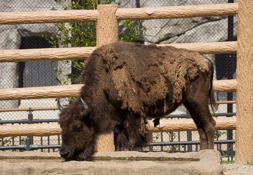 201209281047-DSC02981.jpg