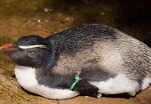 201209281127-DSC03113.jpg