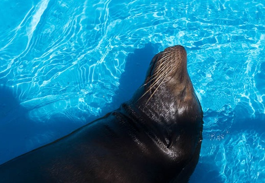 201209281133-DSC03141.jpg
