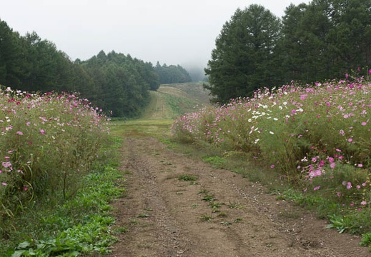 201209291100-DSC03583.jpg