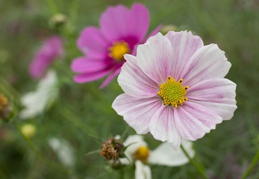 201209291101-DSC03586.jpg