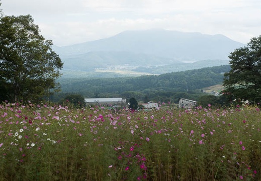 201209291101-DSC03587.jpg