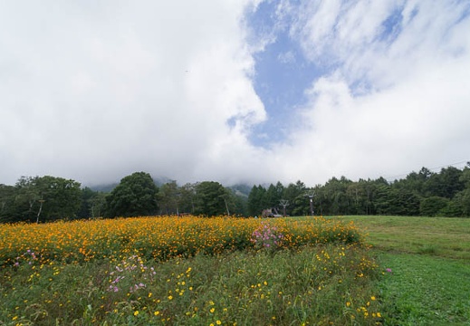 201209291134-DSC02991N.jpg