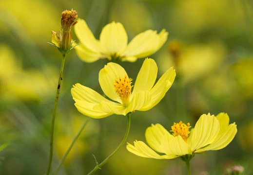 201209291145-DSC03701.jpg