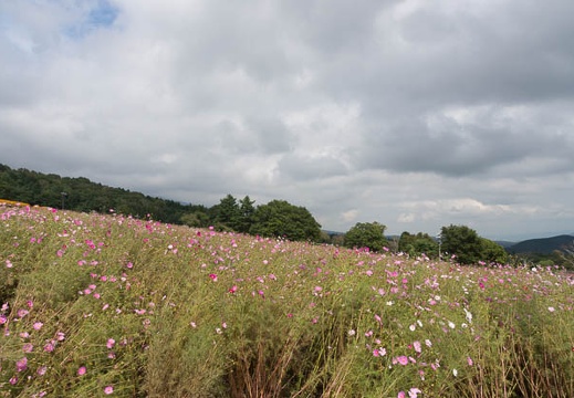 201209291155-DSC03723.jpg