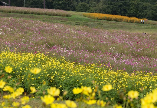 201209291214-DSC03780.jpg