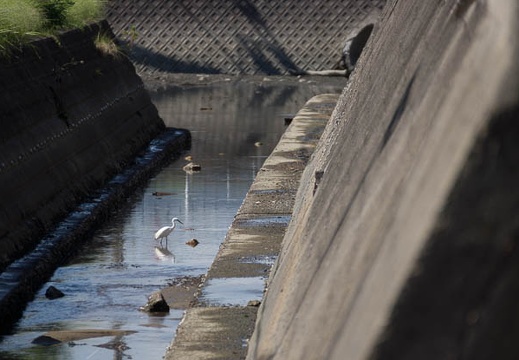 201210021155-DSC04140.jpg