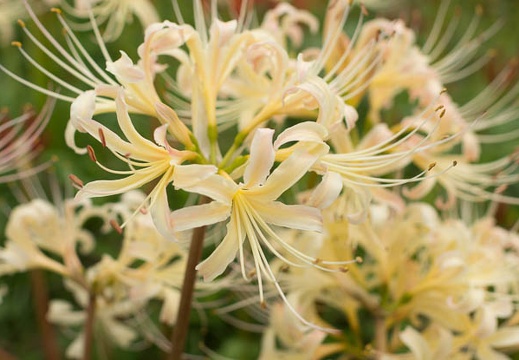 201210031142-DSC04304.jpg