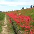 20121003115156-SO-04D.jpg