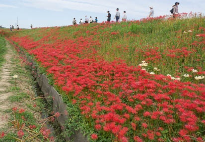201210031152-DSC03396N.jpg