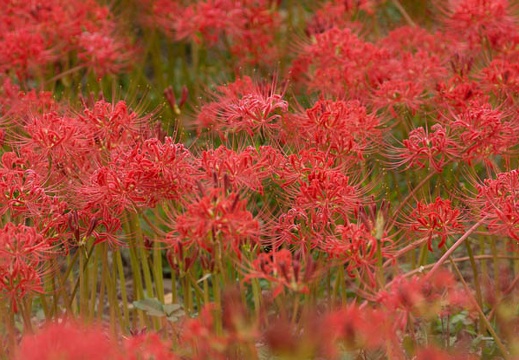 201210031207-DSC04360.jpg