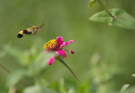 201210031240-DSC04438.jpg