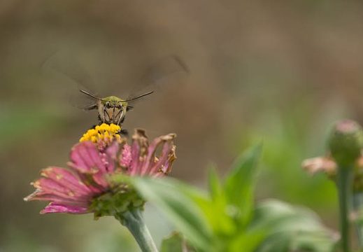 201210031240-DSC04441.jpg
