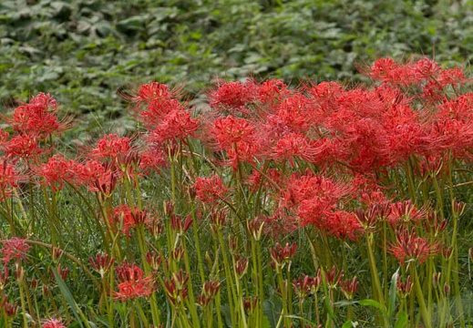 201210031245-DSC04468.jpg