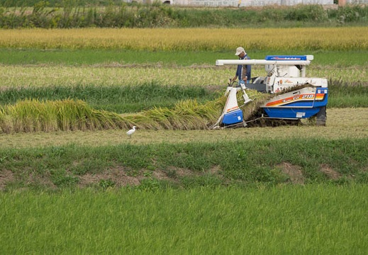 201210031253-DSC04511.jpg