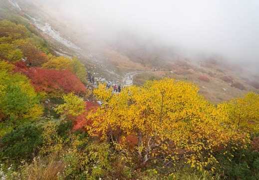201210091011-DSC03554N.jpg