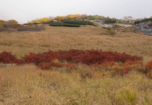 201210091036-DSC04853.jpg