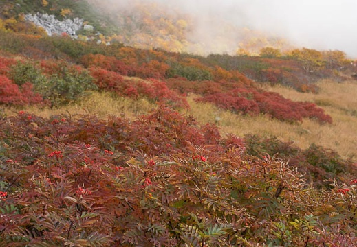 201210091037-DSC04855.jpg