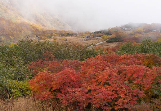 201210091042-DSC04863.jpg