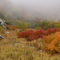 201210091118-DSC04933.jpg