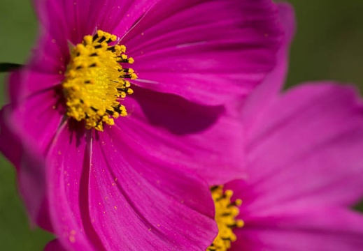 201210151121-DSC05800.jpg