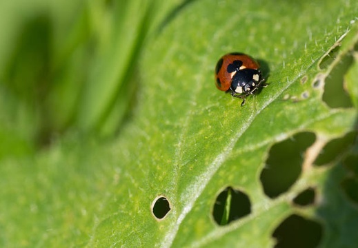 201210151123-DSC05813.jpg