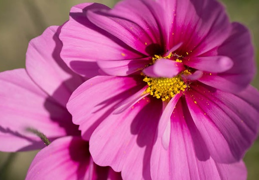 201210151140-DSC05874.jpg
