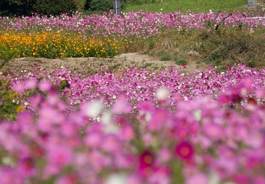 201210151149-DSC05904.jpg