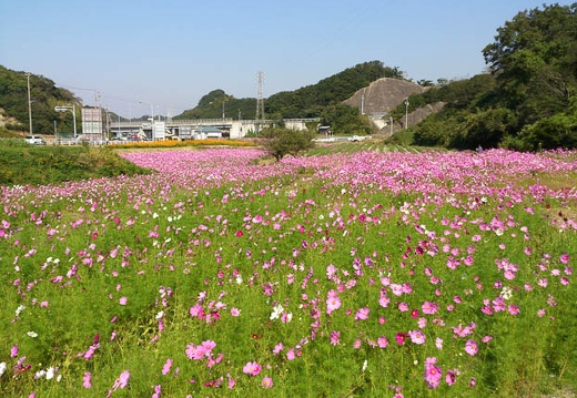 20121015115549-SO-04D.jpg