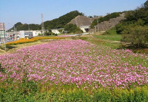 20121015124923-SO-04D.jpg