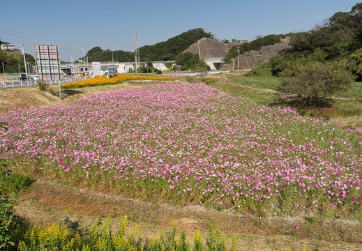 201210151252-DSC06085.jpg
