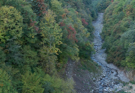 201210160756-DSC06249.jpg